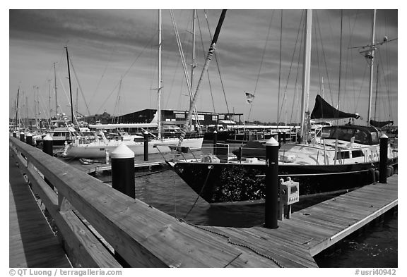 Large yachts in Newport harbor. Newport, Rhode Island, USA (black and white)