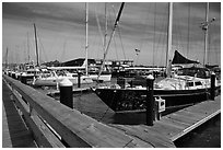 Large yachts in Newport harbor. Newport, Rhode Island, USA (black and white)