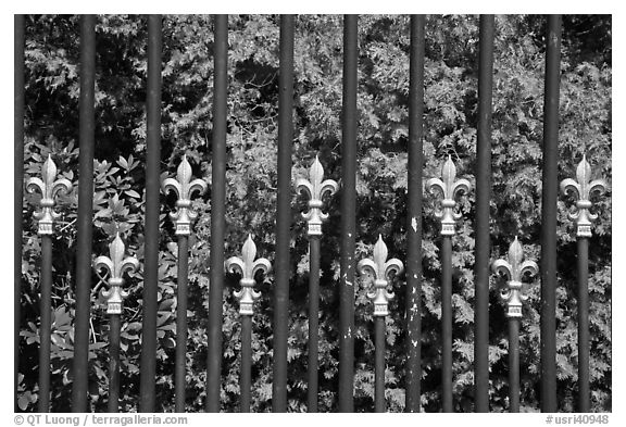 Fence with the French Fleur de Lys royalty emblem. Newport, Rhode Island, USA (black and white)