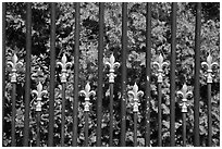 Fence with the French Fleur de Lys royalty emblem. Newport, Rhode Island, USA (black and white)