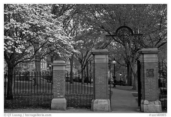 Entrance to grounds of Brown University in the spring. Providence, Rhode Island, USA (black and white)