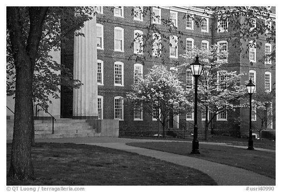 Columns, brick buildings, flowering dogwoods, and gas lamps, Brown University. Providence, Rhode Island, USA