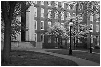 Columns, brick buildings, flowering dogwoods, and gas lamps, Brown University. Providence, Rhode Island, USA (black and white)