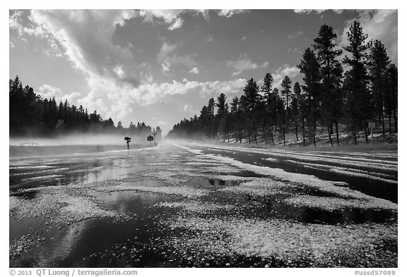 Highway with hail, Black Hills National Forest. Black Hills, South Dakota, USA (black and white)