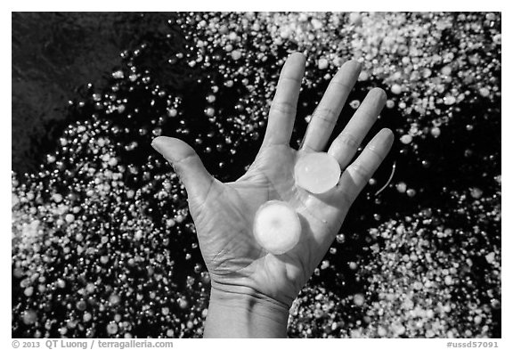 Hand holding large hailstones. Black Hills, South Dakota, USA (black and white)