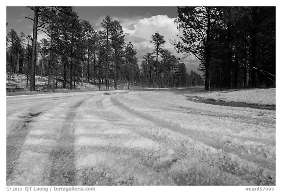 Highway covered with hailstones, Black Hills National Forest. Black Hills, South Dakota, USA