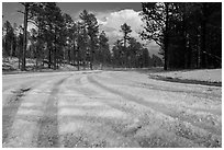 Highway covered with hailstones, Black Hills National Forest. Black Hills, South Dakota, USA (black and white)