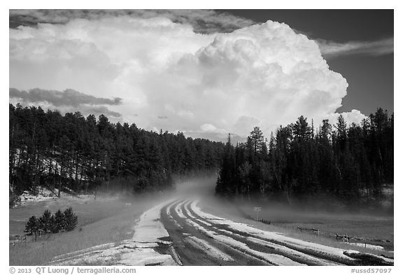 Clearing hailstorm, Black Hills National Forest. Black Hills, South Dakota, USA