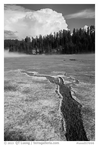 Meadow with hailstones, hail storm clearing, Black Hills National Forest. Black Hills, South Dakota, USA