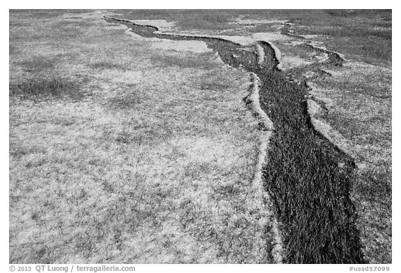 Hailstones form pattern in meadow, Black Hills National Forest. Black Hills, South Dakota, USA (black and white)