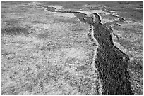 Hailstones form pattern in meadow, Black Hills National Forest. Black Hills, South Dakota, USA (black and white)