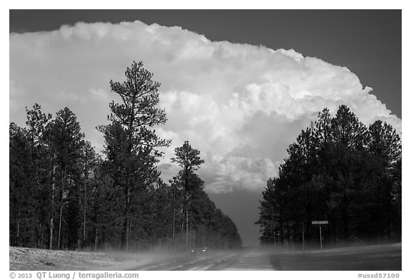 Cumulonimbus cloud above roadway, Black Hills National Forest. Black Hills, South Dakota, USA (black and white)