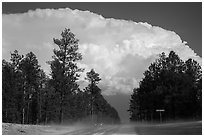 Cumulonimbus cloud above roadway, Black Hills National Forest. Black Hills, South Dakota, USA (black and white)