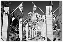 Alley of the Flags, with flags from each of the 50 US states, Mt Rushmore National Memorial. South Dakota, USA (black and white)