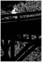 Distant view of Mt Rushmore through a bridge and trees. South Dakota, USA (black and white)