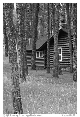 Cabins in Custer State Park. Black Hills, South Dakota, USA