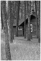 Cabins in Custer State Park. Black Hills, South Dakota, USA (black and white)