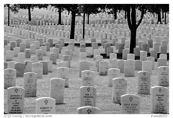 Rows of gravestones, Black Hills National Cemetery. Black Hills, South Dakota, USA (black and white)