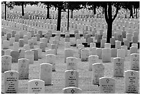 Rows of tombs, Black Hills National Cemetery. South Dakota, USA ( black and white)