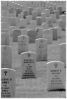 Rows of tombs, Black Hills National Cemetery. South Dakota, USA ( black and white)