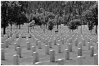 Black Hills National Cemetery. South Dakota, USA ( black and white)