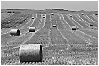 Rolls of hay. South Dakota, USA ( black and white)