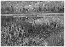 Autumn Reflections, Green Mountains. Vermont, New England, USA (black and white)