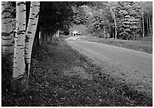 Birch trees and Sugar House in Reading. USA ( black and white)