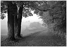 Maple trees, gravel road, and Jenne Farm, foggy autumn morning. Vermont, New England, USA ( black and white)