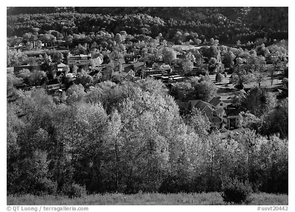 Village with trees in fall foliage. Vermont, New England, USA (black and white)
