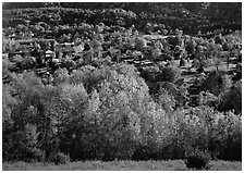 Village with trees in fall foliage. Vermont, New England, USA (black and white)