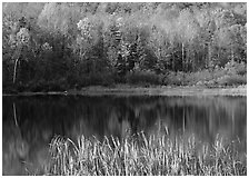 Hill in fall colors reflected in a pond. USA ( black and white)