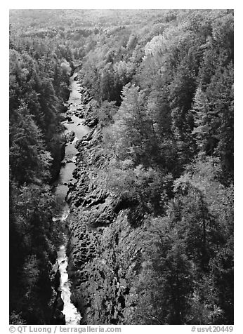 Quechee Gorge and river in the fall. USA (black and white)