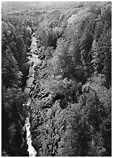 Quechee Gorge and river in the fall. Vermont, New England, USA (black and white)