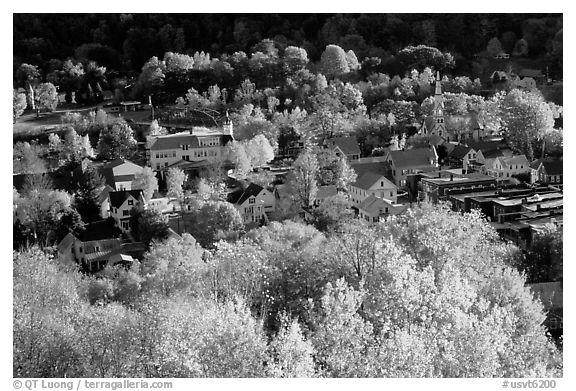 Village surounded by trees in brilliant fall colors. Vermont, New England, USA (black and white)