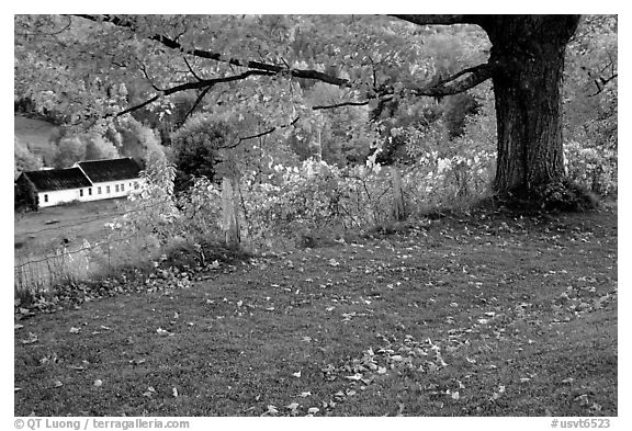 Peacham. Vermont, New England, USA