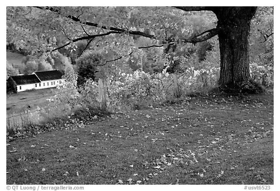 Peacham. Vermont, New England, USA (black and white)