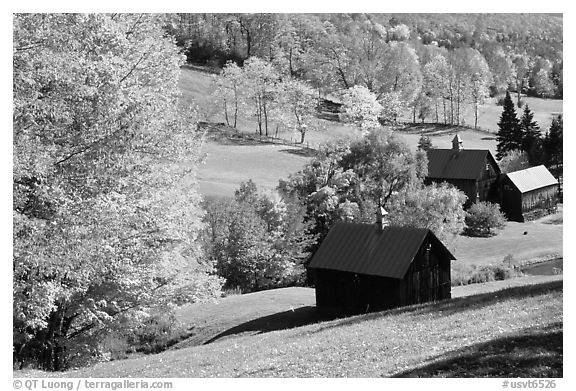 Sleepy Hollow Farm near Woodstock. Vermont, New England, USA (black and white)
