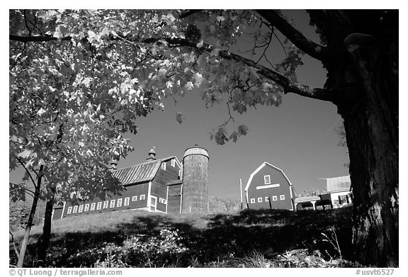 Pomeret Highlands Farm near Woodstock. Vermont, New England, USA