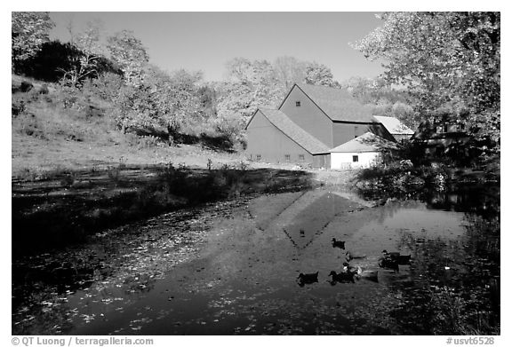 Pond and Sherbourne Farm in Hewettville. Vermont, New England, USA (black and white)