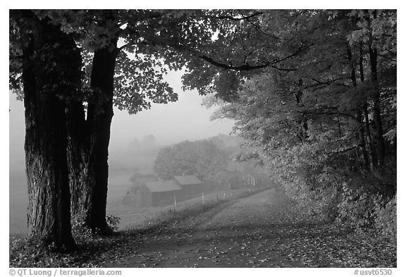 Jenne Farm, foggy morning. Vermont, New England, USA (black and white)