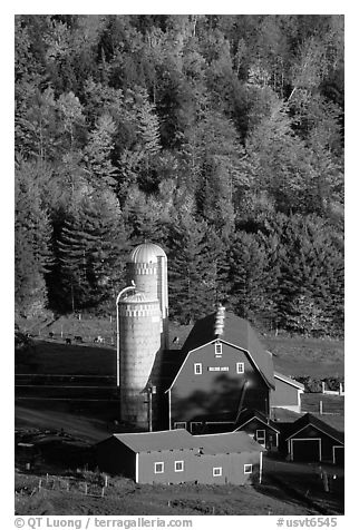 Farm and silos surrounded by hills in autumn  foliage. Vermont, New England, USA (black and white)