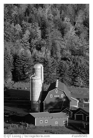 Farm and silos surrounded by hills in autumn  foliage. Vermont, New England, USA