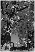 Elm Grove Farm near Woodstock. Vermont, New England, USA ( black and white)