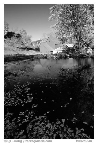 Pond and Sherbourne Farm in Hewettville. Vermont, New England, USA (black and white)