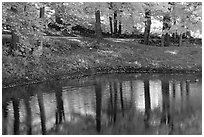 Pond with tree reflections. Vermont, New England, USA (black and white)