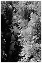 Quechee Gorge in fall. Vermont, New England, USA (black and white)