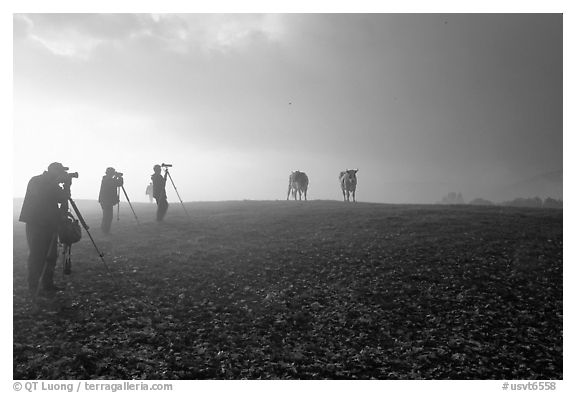 Photographers at sunrise near Jenne Farm. Vermont, New England, USA