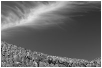 Hills and cloud, Green Mountains. Vermont, New England, USA (black and white)