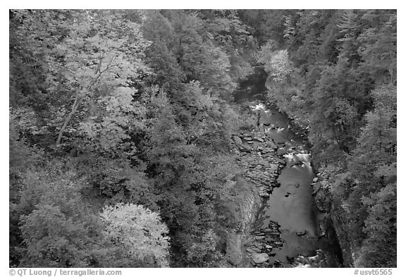 Quechee Gorge in autumn. Vermont, New England, USA (black and white)